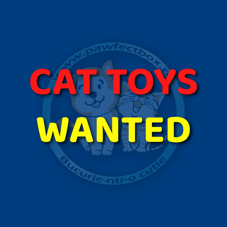 Cat Toys - Very High Quality